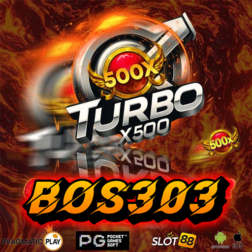 bos303